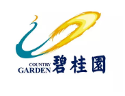 铜陵碧桂园地产